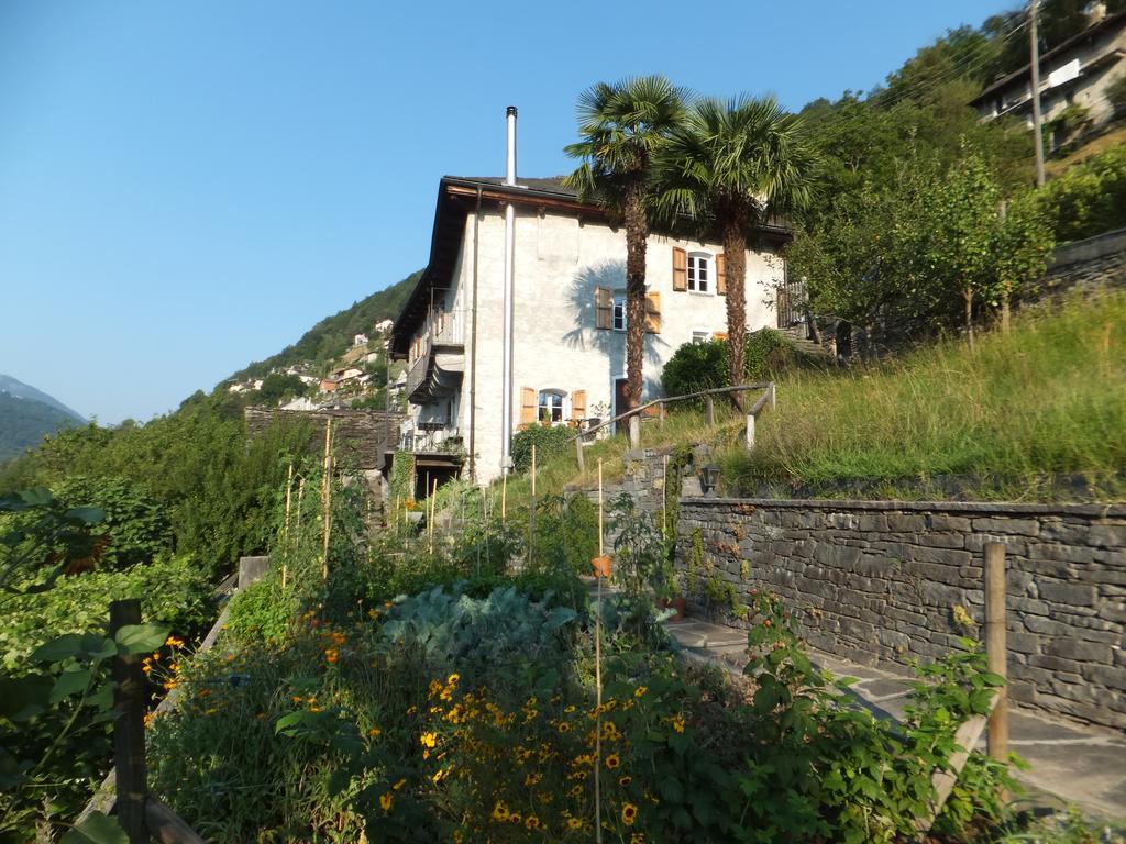 Casa Del Sarto Apartment อินตรันญา ภายนอก รูปภาพ